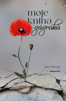 Moje kniha zázraků