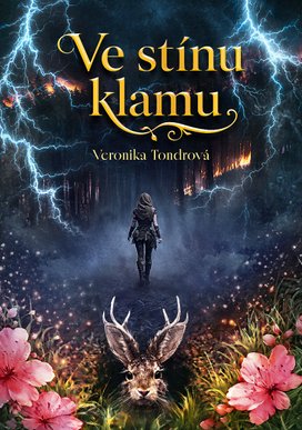 Ve stínu klamu