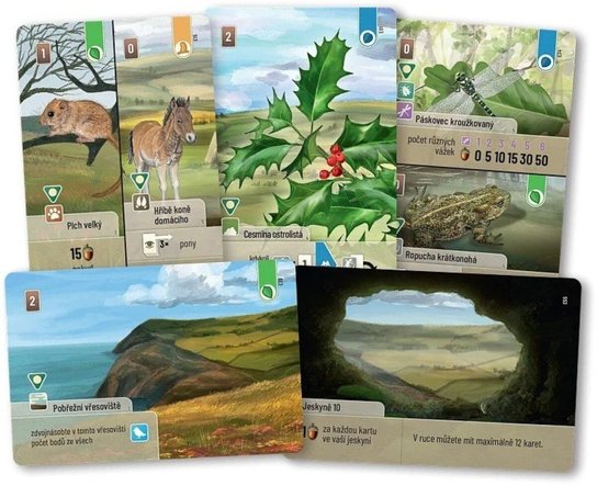 Smíšený les Dartmoor Exmoor