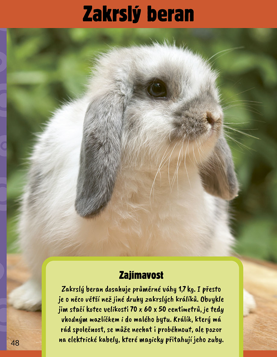 Jak kreslit domácí mazlíčky