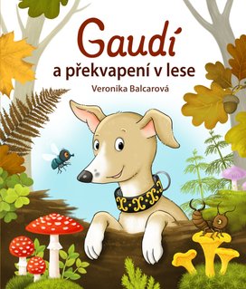 Gaudí a překvapení v lese