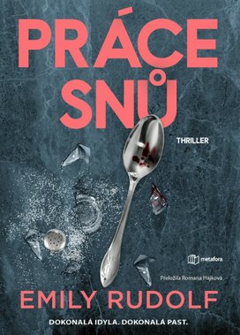 Práce snů