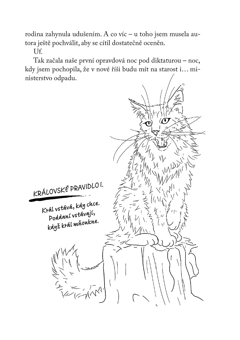 Rok v kočičí diktatuře