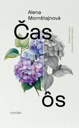 Čas ôs